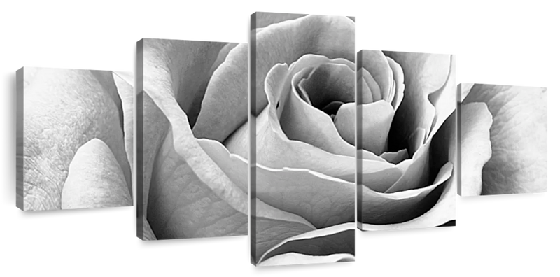 Full Bloom Rose Wall Art