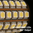 Car LED T25 Bulbs for Dome and License Plates by LJGDeals