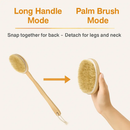 Bath Brush with Long Handle and Detachable Scrubber by LJGDeals