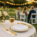 Gold Rim Disposable Dinnerware Set for Parties by LJGDeals
