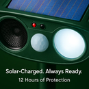 Solar Ultrasonic Animal Repeller with Flashing Light by LJGDeals