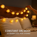 Rose Flower String Lights for Romantic Glow by LJGDeals