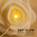 Rose Flower String Lights for Romantic Glow by LJGDeals