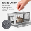 2Pack 11.81x5.63x4.45In 2-Door Humane Rat Trap Automatic Continuous Mouse Trap Reusable Galvanized Iron Live Animal Cage by LJGDeals