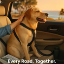 Dog Seat Belt Leash for Car - Secure Travel by LJGDeals