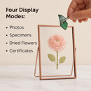 Rose Gold Metal Picture Frame, 2-Pack Set by LJGDeals