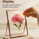 Rose Gold Metal Picture Frame, 2-Pack Set by LJGDeals