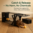 2Pcs Rat Traps Humane Live Mouse Cage Easy To Catch And Release For Voles Rats Mice Rodents Hamsters Reusable Indoor Outdoor Use by LJGDeals