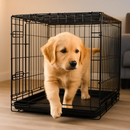 30inches Dogs Crate Folding Metal Pets Crates Double Door Puppy Cage Easy Set Up by LJGDeals