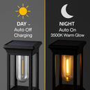 Solar Powered Stake Light for Pathway and Garden by LJGDeals