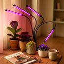 Indoor Plant Grow Light for Healthy Indoor Plants by LJGDeals