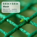 Garden Netting for Plants and Crops to Protect from Birds by LJGDeals