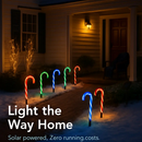 Candy Cane Solar Light for Garden and Patio Decor by LJGDeals