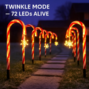 Candy Cane Christmas Lights with 12 Candies by LJGDeals