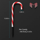 Candy Cane Christmas Lights with 12 Candies by LJGDeals