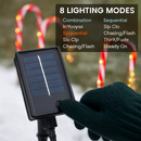 Candy Cane Christmas Lights with 12 Candies by LJGDeals