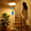 Motion Sensor Ceiling Light with Remote Rechargeable by LJGDeals