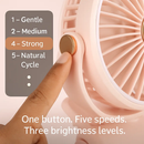 Clip-On Desk Fan for Camping and Office — Quiet & Adjustable by LJGDeals