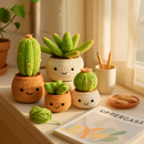 Succulents Crochet Kit for Beginners with 4 Patterns by LJGDeals