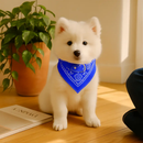 Adjustable Leather Pet Collar Triangle Bandana for Dogs by LJGDeals