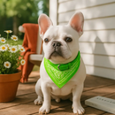 Adjustable Leather Pet Collar Triangle Bandana for Dogs by LJGDeals