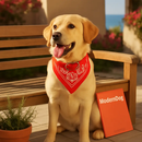 Adjustable Leather Pet Collar Triangle Bandana for Dogs by LJGDeals