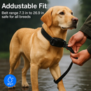 Dog Training Collar Receiver for Remote Training by LJGDeals