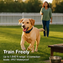 Dog Bark Training Collar: Adjustable, Safe Correction by LJGDeals