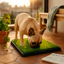 Potty Training Grass Pad for Indoor & Outdoor Use by LJGDeals