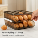 Egg Storage Box with Lid: Double Layer, Auto-Roll by LJGDeals