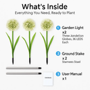 Dandelion Solar Garden Light with Colorful LEDs by LJGDeals