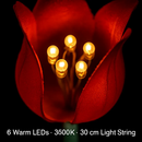 Tulip Wind Mill Solar Garden Light - 2-Pack by LJGDeals