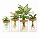 4Pack Glass Propagation Stations For Plants Indoor Glass Planters Hydroponic Plant Vases 2 Large 2 Small for Plant Cuttings Flower Arrangements by LJGDeals
