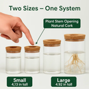 4Pack Glass Propagation Stations For Plants Indoor Glass Planters Hydroponic Plant Vases 2 Large 2 Small for Plant Cuttings Flower Arrangements by LJGDeals