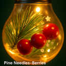 Christmas Snow Globe String Light with 10 LED Bulbs by LJGDeals