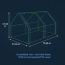 Portable Mini Greenhouse With Roll-Up Zipper Doors by LJGDeals