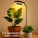Plant Grow Light Full Spectrum LED Circle by LJGDeals