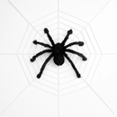 Giant Halloween Spider Decoration with Web by LJGDeals