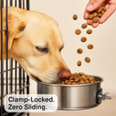 Dog Bowl with Clamp Holder for Cages and Enclosures by LJGDeals