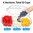 Fruit Ice Serving Tray with Four Compartments by LJGDeals