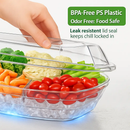 Fruit Ice Serving Tray with Four Compartments by LJGDeals