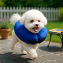 Inflatable Pet Collar for Wounds, Adjustable Comfort by LJGDeals