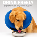Inflatable Pet Collar for Wounds, Adjustable Comfort by LJGDeals
