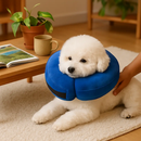Inflatable Pet Collar for Wounds, Adjustable Comfort by LJGDeals