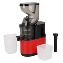 Cold Press Juicer Machine for Home Use with 2 Containers by LJGDeals