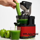 Cold Press Juicer Machine for Home Use with 2 Containers by LJGDeals