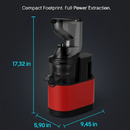 Cold Press Juicer Machine for Home Use with 2 Containers by LJGDeals