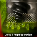 Cold Press Juicer Machine for Home Use with 2 Containers by LJGDeals