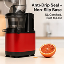 Cold Press Juicer Machine for Home Use with 2 Containers by LJGDeals