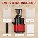 Cold Press Juicer Machine for Home Use with 2 Containers by LJGDeals